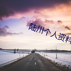 陆川个人资料