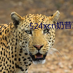 524xcn奶昔直播