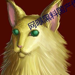 網曝黑料國産傳媒