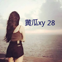 黄瓜xy 28