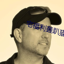 宅福利轰趴猫