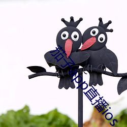 茄子app直播ios
