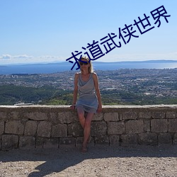 求道武(武)侠世界(界)
