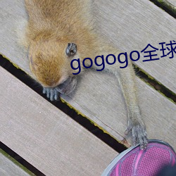 gogogo全球专业摄影