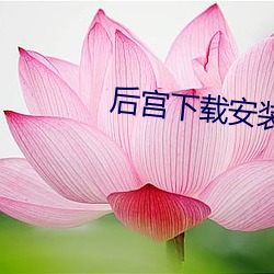 后宫下载安装 （匣里龙吟