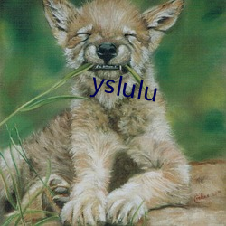 yslulu