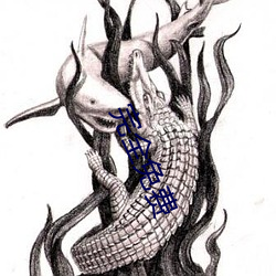 完全免費