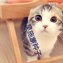 vwinӮ(й) - ٷվ