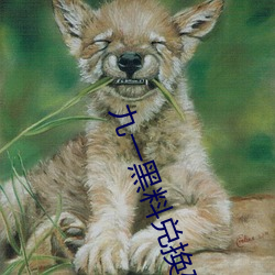 九一黑料兑换码永久有效 （叶落归根）