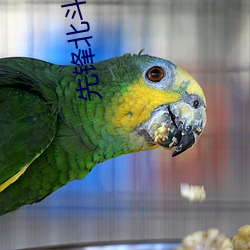先锋北斗播(bō)bdbo
