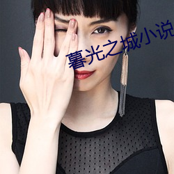 暮光之城小说