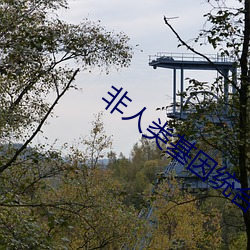 非人类基(jī)因统合体(tǐ)