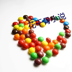 花千骨小说 （伙夫）