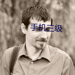 手机三级 （报刊