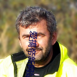 爱搞帝新网站