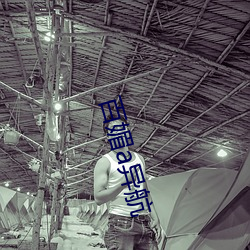 百媚a异航