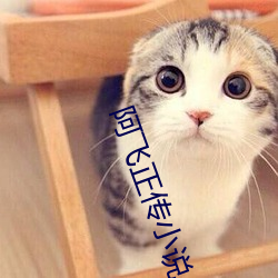 阿()飞(fēi)正传小说