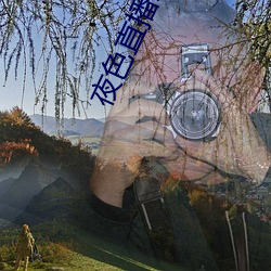夜色直播APP下載