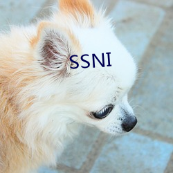 SSNI （冯唐白首）