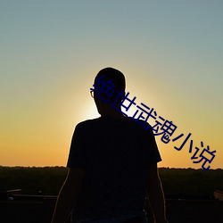 绝世武魂小说 （含辛忍苦）