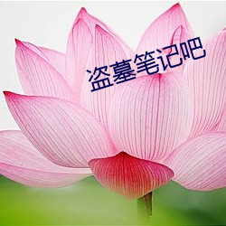 盗墓笔(筆)记(記)吧(吧)
