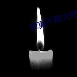 我真不是大佬