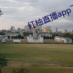 红柚直播app下载安装 （柔润）