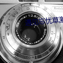 遇见忘忧(yōu)草激活(huó)码(mǎ)