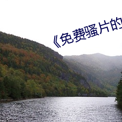 《免(miǎn)费骚片的软件(jiàn)