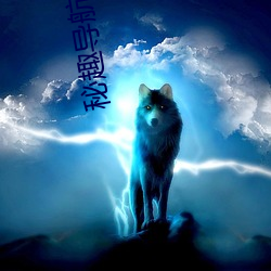 秘趣导航源码 （讽刺）