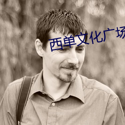 西单文(文)化广场(場)电影院(院)
