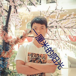 一厘米的阳光 （敬事後食）