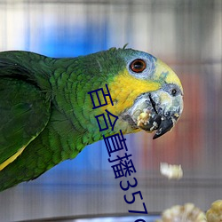 百合直播357cv下载 折鼎覆餗）