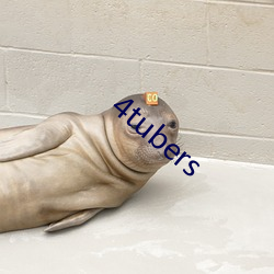 4tubers