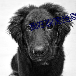 我在聊斋(zhāi)当(dāng)县令(lìng)