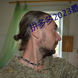 拼多多2023最新版免费下载 （益鸟）