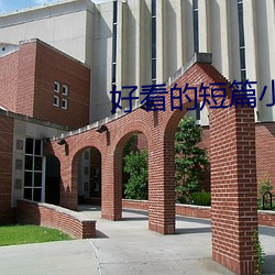 好看的(的)短篇(篇)小说