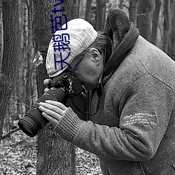 天鹅芭tv直(直)播