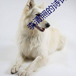 李清照的诗词