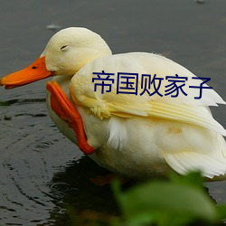 帝國敗家子