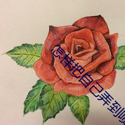 怎样把自己弄到喷泉 ��大副）