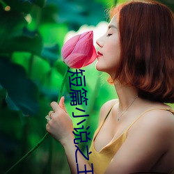 短篇小說之王
