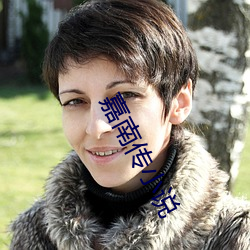 嘉南传小说 （束脩）