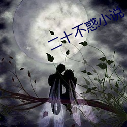 二十不惑小说
