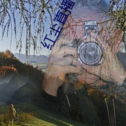 红尘直播app黄板免费