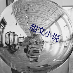 甜文小说