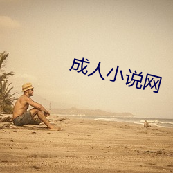 成人小说网