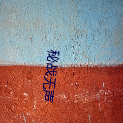 秘战无声