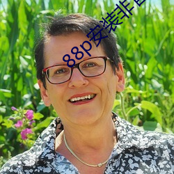 88p安装非官方
