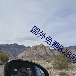 国外免(miǎn)费B2B网站大(dà)全